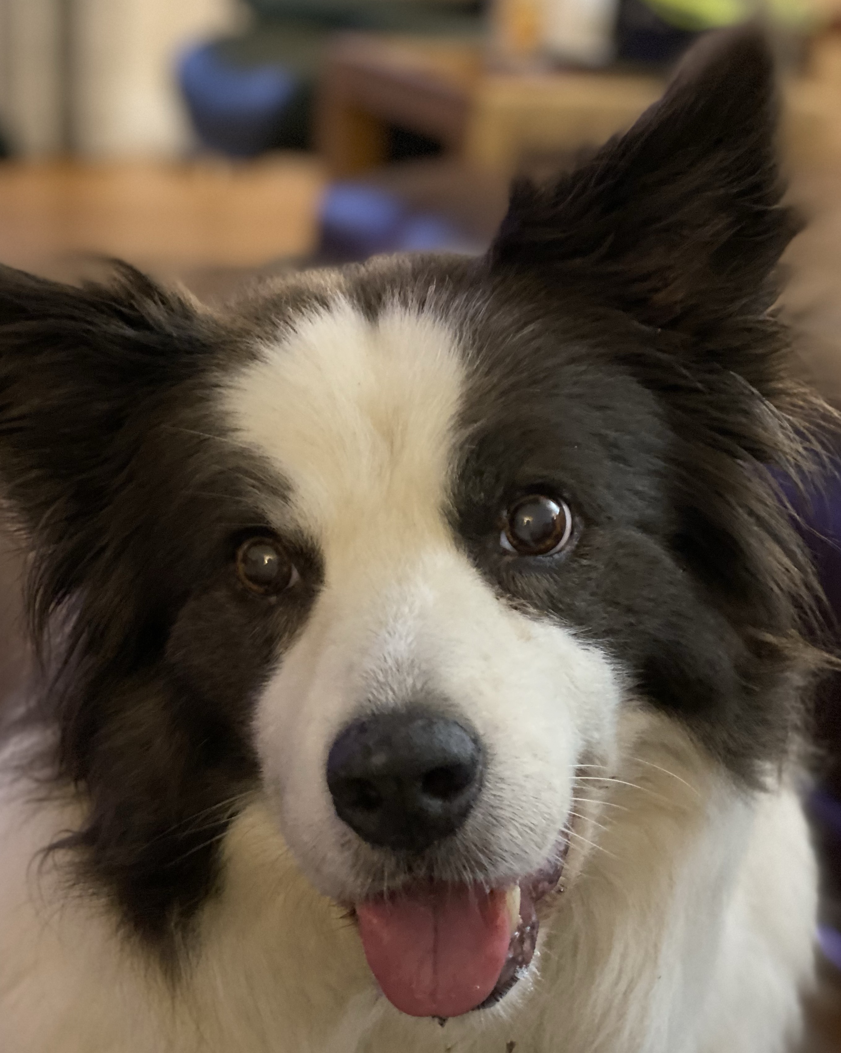 Skye